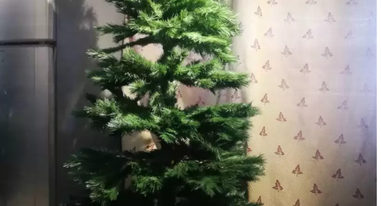Christmas Tree B&Q