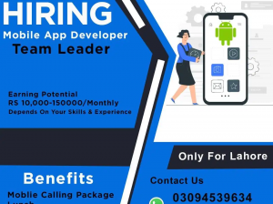 Android Application Developer Team Leader