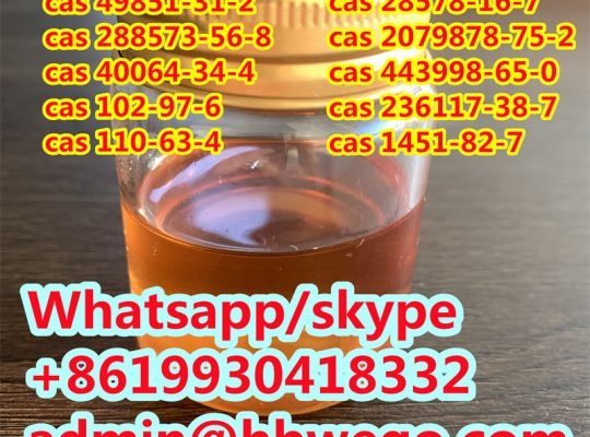 CAS 28578-16-7 PMK glycidate