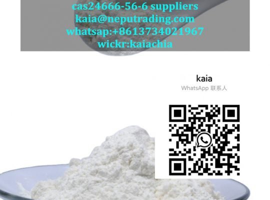 24666-56-6 suppliers kaia@neputrading.com whatsapp: +8613734021967