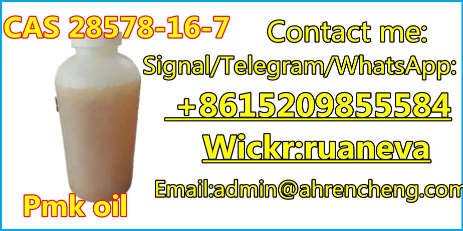 CAS 28578-16-7 Pmk,Pmk Glycidate Oil WhatsApp: +8615209855584