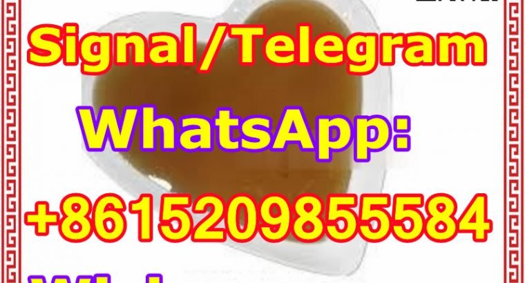 CAS 28578-16-7 Pmk,Pmk Glycidate Oil WhatsApp: +8615209855584