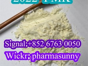 2022 New PMK glycidate powder CAS13605-48-6 with Factory Price