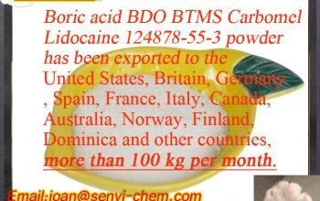 CAS 10043-35-3 boric acid (Mail:joan@senyi-chem.com) +8617531900322)