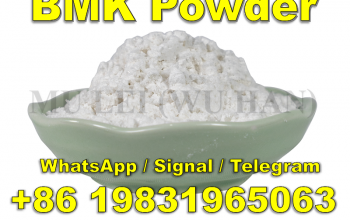 Top quality bmk powder CAS 5413-05-8 / 5449-12-7 in stock