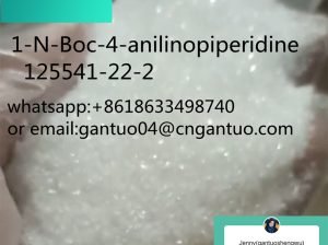 1-N-Boc-4-anilinopiperidine 125541-22-2 of great quality