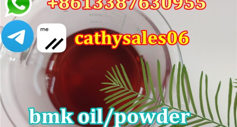 NEW BMK powder CAS 5449-12-7 bmk glycidate supplier CAS 16648-44-5