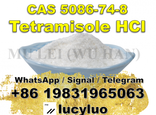 High quality Pharmacy Grade Tetramisole hydrochloride 5086-74-8