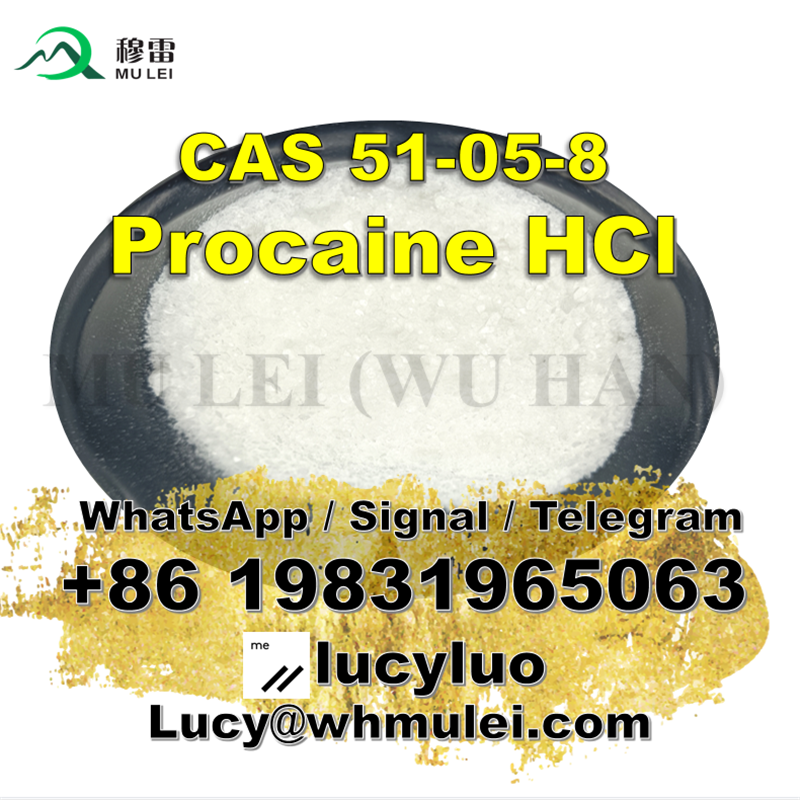 Pharmaceutical Grade Procaine Hydrochloride CAS 51-05-8 Procaine