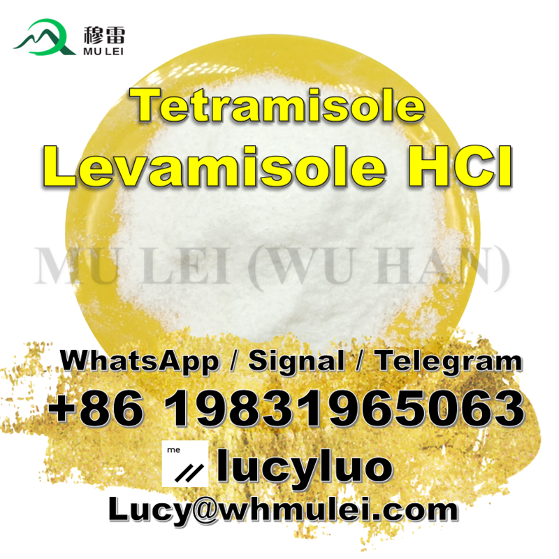 Buy Levamisole hcl levamsiole bulk price