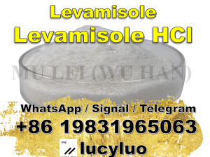 Buy Levamisole hcl levamsiole bulk price