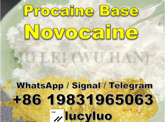 Local Anesthetic Procaine CAS 59-46-1 for Pain Loss