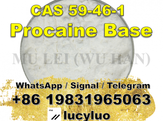 Local Anesthetic Procaine CAS 59-46-1 for Pain Loss