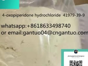 hot sale 4-oxopiperidone hydrochloride 41979-39-9