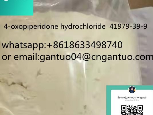 hot sale 4-oxopiperidone hydrochloride 41979-39-9