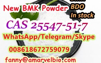 Fast Delivery Free Cstoms to EU Ca USA CAS 25547-51-7 New BMK Powder