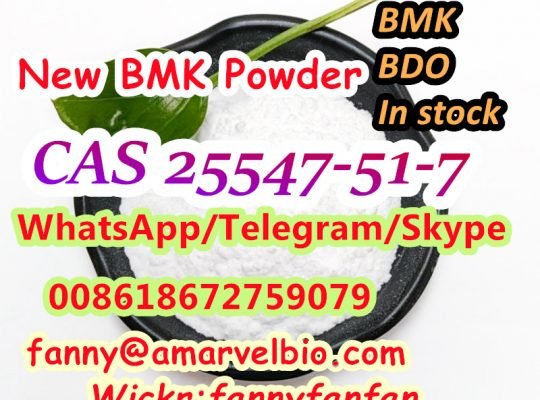 Fast Delivery Free Cstoms to EU Ca USA CAS 25547-51-7 New BMK Powder
