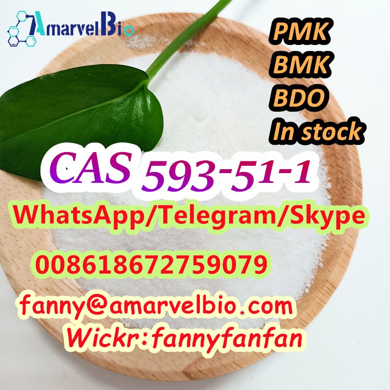 CAS 593-51-1 Methylamine hydrochloride best quality in stock