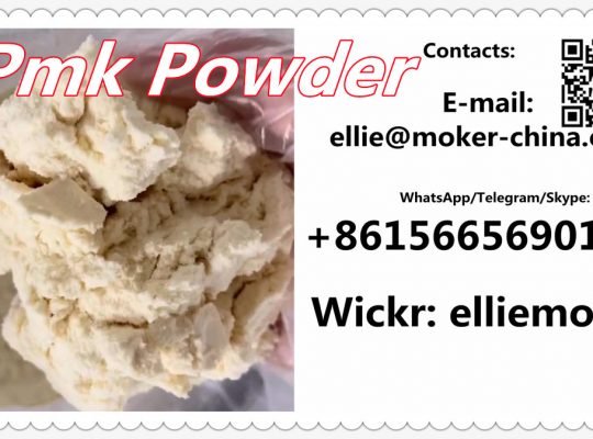 China Supply Top Quality Cas 28578-16-7 Pmk Ethyl Glycidate Powder, P