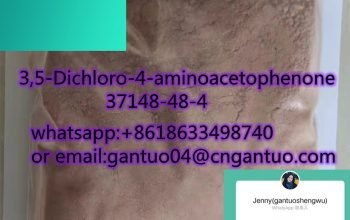 hot sale 3,5-Dichloro-4-aminoacetophenone 37148-48-4