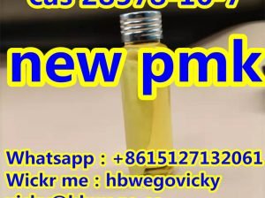New PM 3,4-MDP-2P Ethyl Ester Powder CAS 28578-16-7