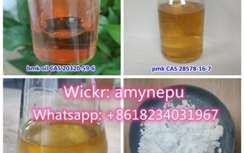 PMK Powder cas 28578-16-7 pmk oil supplier, whatsapp: +8618234031967