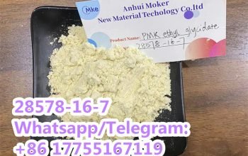High Quality CAS28578-16-7 Pmk Powder with Lower Price