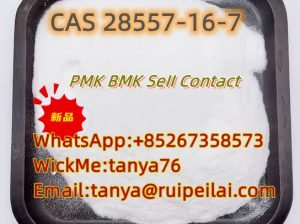 新PMK 28578-16-7/285578-16-7出厂价(wickr:tanya76)