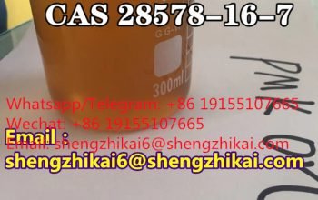 CAS 28578-16-7 PMK ethyl glycidate—shengzhikai6@shengzhikai.com