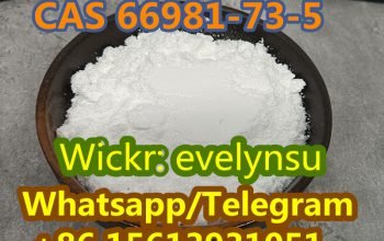 Supply High Quality Tianeptine CAS 66981-73-5 Whatsapp:+8615613931051