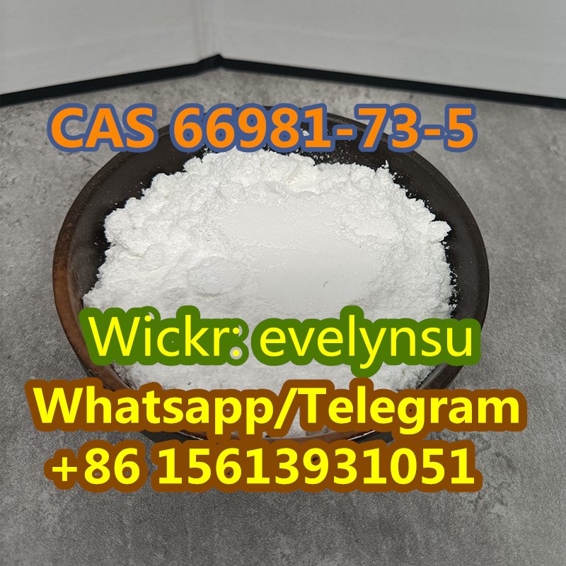 Supply High Quality Tianeptine CAS 66981-73-5 Whatsapp:+8615613931051