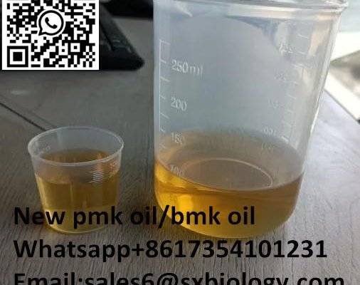 Health & Beauty Items New Pmk Oil Pmk Powder CAS 28578-16-7 New BMK