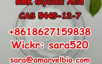 +8618627159838 BMK Glycidic Acid (sodium salt) CAS 5449-12-7