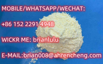 China Manufacturer PharmaCAS 236117-38-7 2-iodo-1-p-tolylpropan-1-one