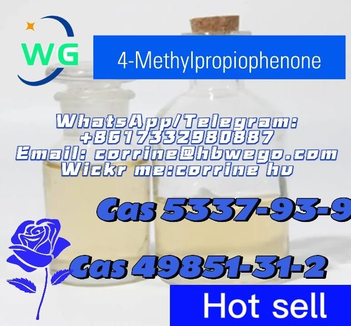 Hot selling purity 99% cas 5337-93-9 4-Methylpropiophenone