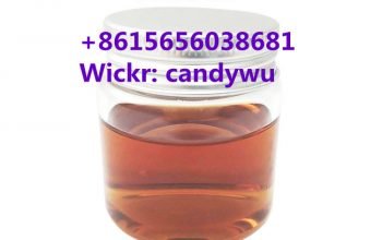 Pmk Oil CAS 28578-16-7 Pmk Powder Pmk Liquid with Safe Delivery