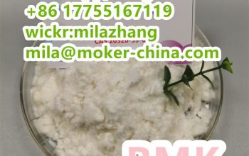 Hot Selling Top Quality Diethyl (phenylacetyl) Malonate CAS20320-59-6