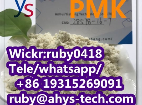 Hot Sale New PMK Powder Cas 28578-16-7 High purity