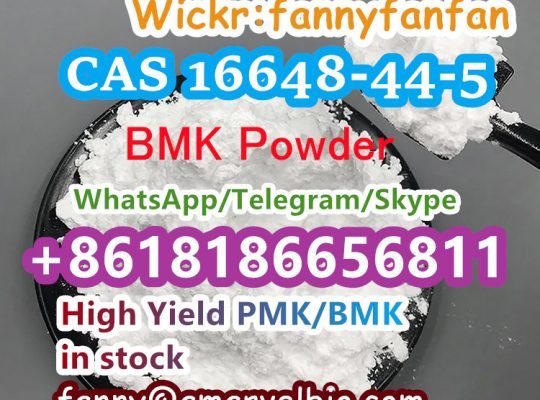+8618186656811 CAS 16648-44-5 BMK Powder Methyl 2-phenylacetoacetate