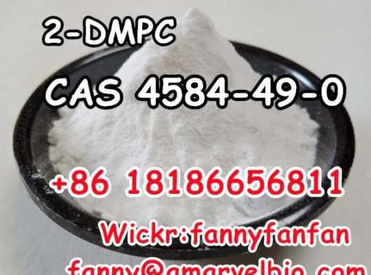+8618186656811 2-DMPC CAS 4584-49-0