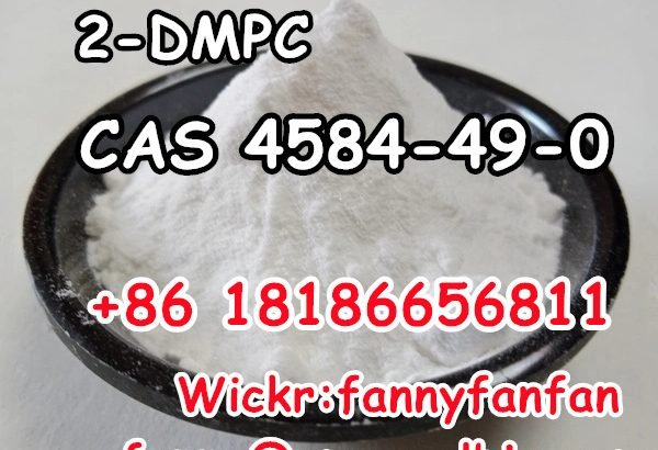 +8618186656811 2-DMPC CAS 4584-49-0