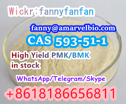 +8618186656811 CAS 593-51-1 Methylamine hydrochloride
