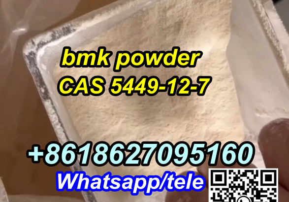 CAS 5449-12-7 BMK Powder Bmk Glycidic Acid (sodium salt)