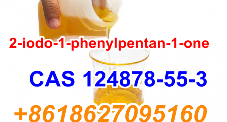 2-iodo-1-phenylpentan-1-one CAS 124878-55-3 C11H13IO