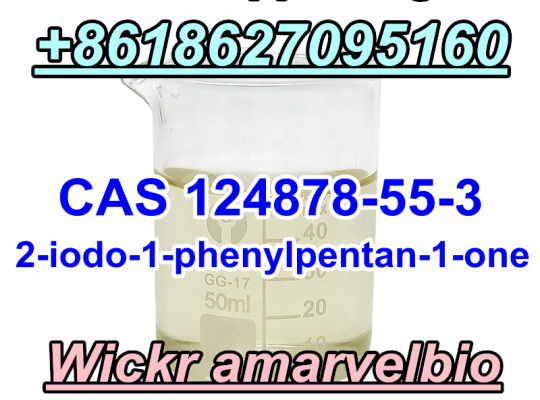 2-iodo-1-phenylpentan-1-one CAS 124878-55-3 C11H13IO