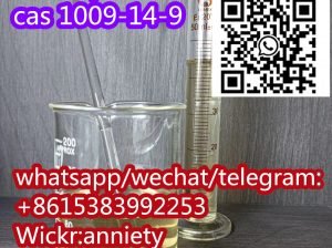 whatsapp: +86 153 8399 2253 4′-Methylpropiophenone cas 5337-93-9 Vale