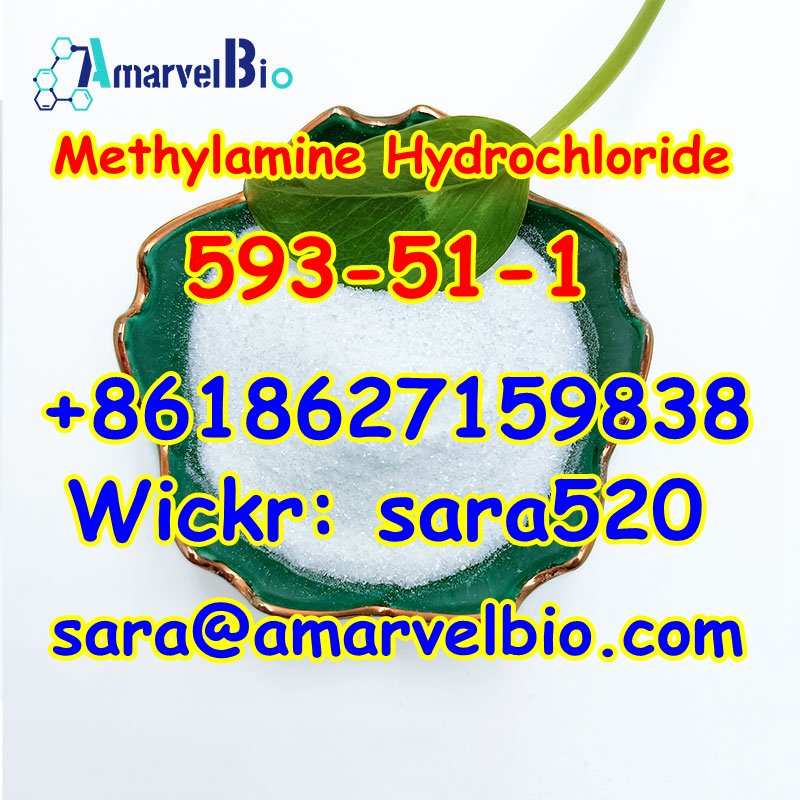 +8618627159838 CAS 593-51-1 Methylamine Hcl