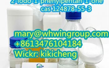 Safe Shipping 2-iodo-1-phenylpentan-1-one cas 124878-55-3 +86-13476104
