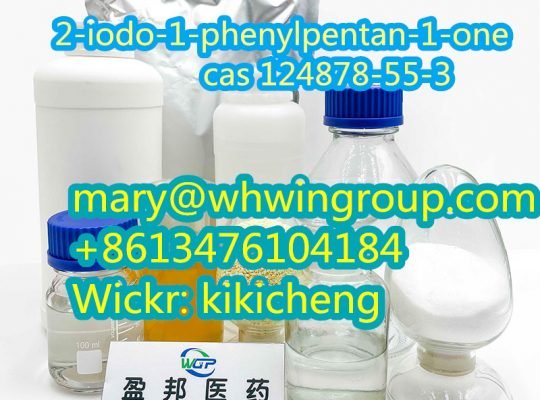 Safe Shipping 2-iodo-1-phenylpentan-1-one cas 124878-55-3 +86-13476104